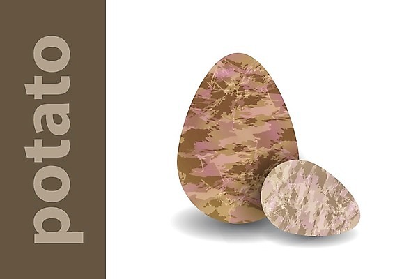 EPS 해외이미지 음식 백그라운드 2 농업 채소 일러스트 자연 감자 건강 초록색 노란색 식사 흰색 신선 닫기 유기농 뿌리 내추럴 고립 적갈색 해외202004 해외일러스트 웰빙 산업 컬러 모션 갈색 생태계 파일형식 벡터 이미지허브