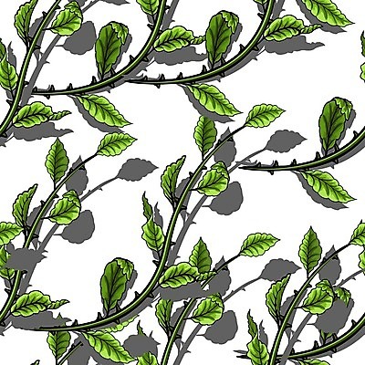 EPS 해외이미지 식물 템플릿 디자인 계절 꽃 종이 백그라운드 잎 꽃무늬 패턴 일러스트 자연 벽지 장식 초록색 여름 정원 흰색 나뭇가지 직물 우아함 인쇄 질감 해외202004 해외일러스트 나무 컬러 컨셉 무늬 생태계 파일형식 벡터 이미지허브