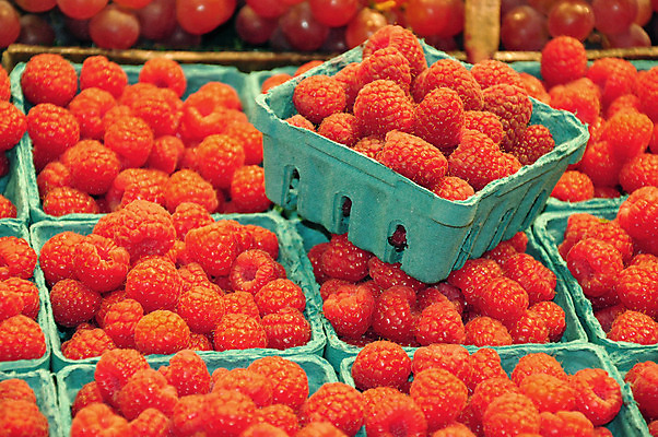 포토 JPG 해외이미지 열매 농업 과일 건강 사람없음 빨간색 농장 정원 신선 시장 달콤 산딸기 해외202004 해외포토 식물 산업 컬러 맛 파일형식 이미지허브