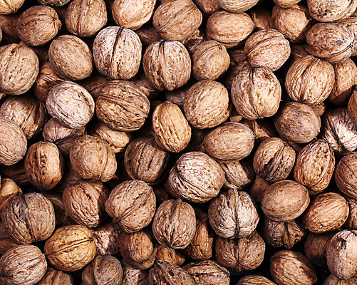 포토 JPG 해외이미지 음식 백그라운드 잎 다이어트 과일 재료 자연 디저트 건조 건강 씨앗 사람없음 초록색 갈색 견과류 껍질 가을 흰색 신선 그룹 맛 오브젝트 유기농 질감 알맹이 호두 흙더미 내추럴 단백질 식용 채식주의자 많음 해외202004 해외포토 식물 웰빙 계절 컬러 컨셉 흙 생태계 채식 영양소 파일형식 더미 이미지허브