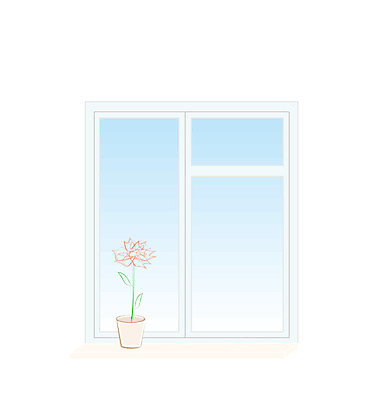 EPS 해외이미지 식물 꽃 분홍색 잎 패턴 일러스트 건축양식 창문 유리 탁자 하늘 바닥 주택 프레임 장식 초록색 파란색 빛 상자 햇빛 태양 페인트 발코니 바위 냄비 만화 꽃집 셔터 제라늄 차양 해외202004 해외일러스트 자연요소 건축 컬러 가구 무늬 재질 건물 상점 돌_바위 솥 파일형식 벡터 이미지허브