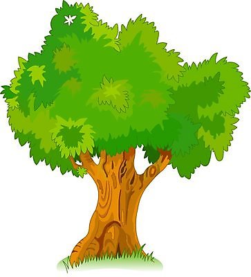 EPS 해외이미지 클립아트 나무 식물 디자인 계절 잎 곡선 일러스트 자연 추상 미술 장식 초록색 컬러풀 성장 나뭇가지 큼 만화 윤곽 해외202004 해외일러스트 선 컬러 무늬 문화예술 크기 생태계 파일형식 벡터 이미지허브