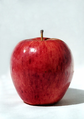 포토 JPG 해외이미지 식물 계절 과일 자연 건강 사람없음 빨간색 농작물 정원 수확 신선 사과 수집 먹기 짐차 채식주의자 해외202004 해외포토 컬러 농업 모션 자동차 생태계 채식 파일형식 이미지허브