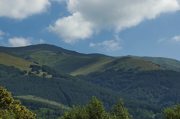 포토 JPG 해외이미지 나무 구름 계절 유럽 여행 낙엽 자연 하늘 산 풍경 경사 사람없음 초록색 여름 파란색 빛 햇빛 여행객 계곡 하이킹 흰색 소나무 정상 숲 언덕 산등성이 장면 방문 침엽수 불가리아 웅장함 절정 해외202004 해외포토 자연요소 식물 나라 컬러 잎 레저 사람 태양 생태계 파일형식 남유럽 이미지허브