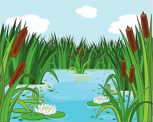 EPS 해외이미지 식물 구름 계절 꽃 호수 물결 백그라운드 잎 일러스트 자연 하늘 연꽃 갈대 풍경 초록색 물 여름 파란색 강 벚꽃 연못 백합 만화 장면 해외202004 해외일러스트 자연요소 컬러 생태계 파일형식 벡터 이미지허브