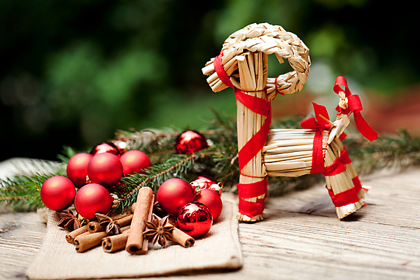 포토 JPG 해외이미지 인형 크리스마스장식 크리스마스 실내 사람없음 아웃포커스 시나몬스틱 오너먼트 해외202004 해외포토 기념일 촬영기법 내부 시나몬 파일형식 이미지허브