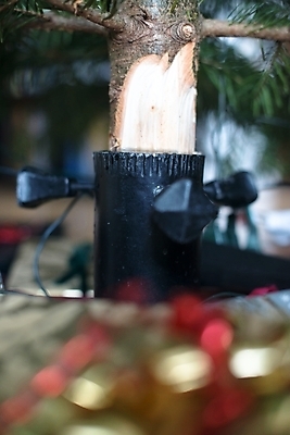 포토 JPG 해외이미지 나무 전통 디자인 계절 별 리본 백그라운드 크리스마스 겨울 휴가 새로움 바닥 선물 사람없음 목재 장식 빨간색 초록색 빛 상자 크리스마스트리 산타클로스 쌓기 축제 덮개 축하 소나무 황금 12월 연도 활 패키지 전나무 노엘 보유 해외202004 해외포토 자연요소 식물 기념일 컬러 컨셉 재료 모션 뚜껑 날짜 파일형식 이미지허브