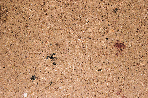 포토 JPG 해외이미지 접시 산업 가구 백그라운드 패턴 자연 벽지 표면 추상 사람없음 목재 공백 재활용 판넬 거친 플랫 널 낟알 질감 목공예 섬유 시트 잡동사니 우표 짐싸기 대각선 고체 수목 압축 더스트파티클 해외202004 해외포토 나무 식기 선 생활용품 무늬 재료 직물 공예 친환경 생태계 파일형식 이미지허브