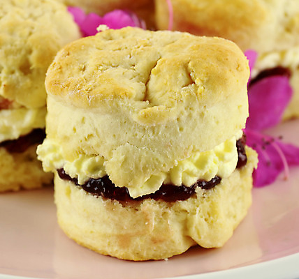 포토 JPG 해외이미지 접시 꽃잎 꽃 음식 요리 사람없음 케이크 식사 대접 신선 고명 황금 맛 잼 굽기 크림 유기농 칼로리 충동구매 내추럴 점심식사 영양분 휘핑크림 해외202004 해외포토 식물 식기 웰빙 컨셉 디저트 쇼핑 소스_음식 구이 과소비 휘핑 파일형식 이미지허브