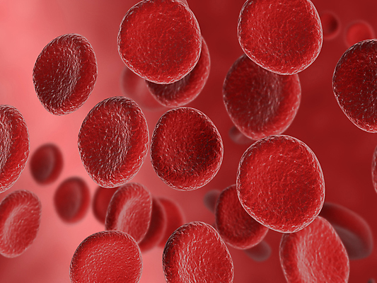 포토 JPG 해외이미지 세포 사람없음 빨간색 3D 적혈구 혈구 해외202004 해외포토 컬러 디지털합성 혈관 파일형식 이미지허브
