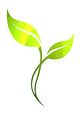 EPS 해외이미지 모양 나무 식물 디자인 실루엣 커피 컨셉 단풍 잎 꽃무늬 곡선 일러스트 비즈니스 자연 병원 그래픽 여름 파란색 숫자 라벨 환경 검은색 봄 가을 흰색 차 심볼 사인 그림 에코 브런치 윤곽 아로마 에메랄드 내추럴 고립 떠남 생태학 엘리먼트 활자 해외202004 해외일러스트 문자 계절 교육 꽃 음료 선 컬러 무늬 의학 모션 프레임 촬영기법 식사 보석 생태계 활자판 파일형식 벡터 이미지허브