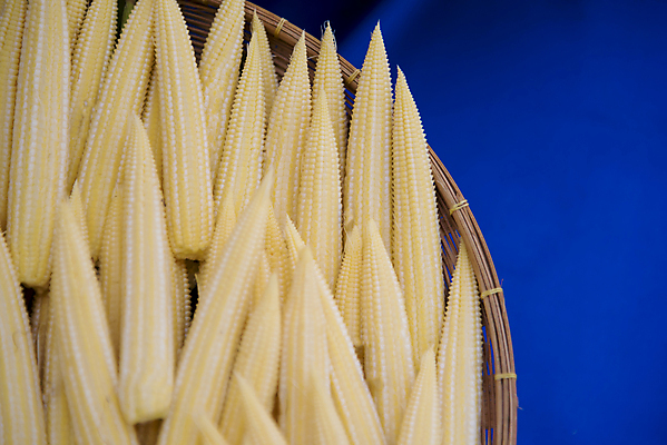 포토 JPG 해외이미지 음식 백그라운드 농업 채소 자연 건강 옥수수 사람없음 초록색 농작물 노란색 흰색 아기 신선 그룹 달콤 유기농 질감 날것 내추럴 고립 해외202004 해외포토 웰빙 산업 컬러 곡류 사람 맛 생태계 파일형식 이미지허브