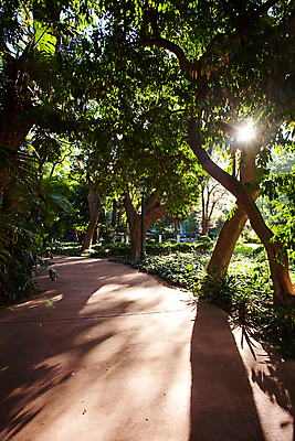 포토 JPG 해외이미지 식물 줄기 잎 자연 왕관 풍경 경사 사람없음 목재 컬러풀 환경 정원 봄 젖음 나뭇가지 황무지 가장자리 정상 숲 땅 연도 순수 속도 나무껍질 내추럴 강렬 생태학 세기 수목 옛날 정확 해외202004 해외포토 나무 계절 교육 컬러 컨셉 재료 모션 껍질 둘레 생태계 파일형식 이미지허브