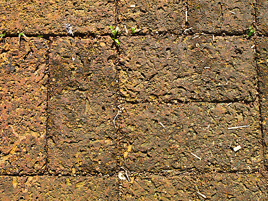 포토 JPG 해외이미지 공원 백그라운드 오렌지 자연 날씨 벽돌 바닥 사람없음 야외 정원 블록 수확 골동품 구멍 바퀴자국 정사각형 직사각형 내추럴 땅바닥 옛날 해외202004 해외포토 도형 공공시설 농업 과일 자국 생태계 파일형식 이미지허브