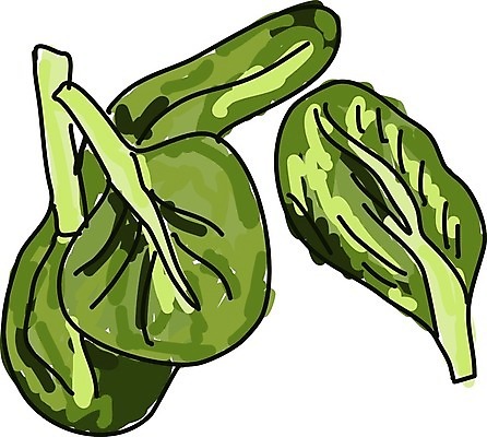 EPS 해외이미지 식물 음식 잎 다이어트 채소 일러스트 재료 자연 건강 초록색 샐러드 신선 맛 상품 상추 심볼 오브젝트 사인 메뉴 유기농 날것 빙산 시금치 내추럴 고립 루꼴라 채식주의자 비건 해외202004 해외일러스트 웰빙 컬러 컨셉 생태계 채식 파일형식 벡터 이미지허브
