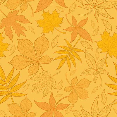 EPS 해외이미지 디자인 계절 단풍 잎 패턴 오렌지 일러스트 자연 추상 장식 노란색 가을 윤곽 해외202004 해외일러스트 식물 컬러 무늬 과일 생태계 파일형식 벡터 이미지허브