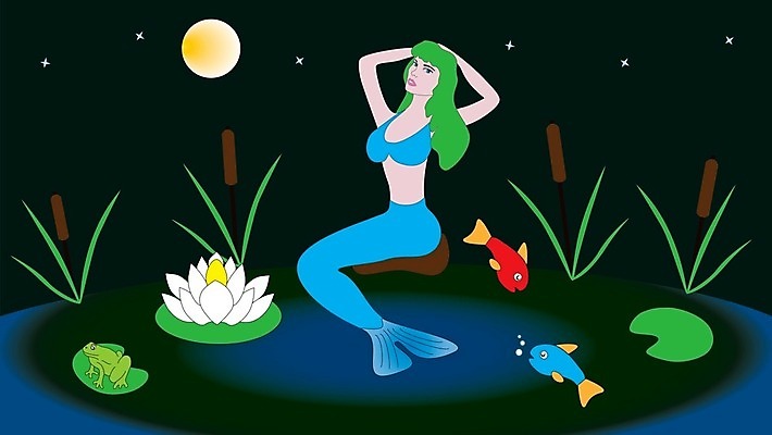 EPS 해외이미지 캐릭터 디자인 별 일러스트 자연 개구리 갈대 어류 야외 물 여름 달 연못 야간 인어 해외202004 해외일러스트 일러캐릭터 자연요소 식물 계절 양서류 수중동물 생태계 파일형식 벡터 동물 이미지허브