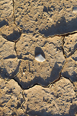 포토 JPG 해외이미지 지구 백그라운드 패턴 자연 표면 추상 건조 사람없음 글로벌 환경 흙 손상 사막 뜨거움 거친 균열 땅 부식 질감 먼지 점토 진흙 가뭄 다리찢기 내추럴 그런지 깨짐 땅바닥 해외202004 해외포토 컨셉 무늬 모션 날씨 바닥 생태계 파일형식 이미지허브