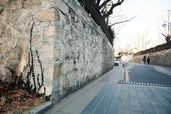 포토 JPG 주간 식물 도로 백그라운드 겨울 서울 돌담 사람 동양인 풍경 야외 건물 한국인 보행자 골목길 담쟁이덩굴 덩굴 삼청동 국내포토 자연요소 건축물 계절 길 교통시설 한국 인종 담장 돌_바위 종로 파일형식