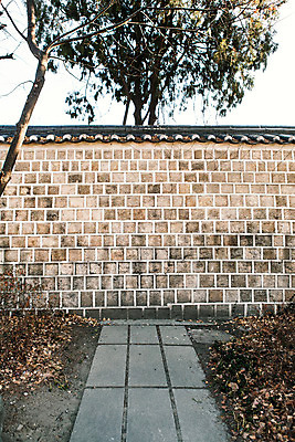 포토 JPG 주간 나무 식물 백그라운드 낙엽 겨울 서울 돌담 풍경 사람없음 야외 건물 골목길 삼청동 국내포토 자연요소 건축물 계절 길 잎 한국 담장 돌_바위 종로 파일형식