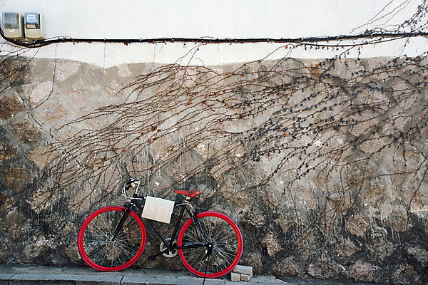 포토 JPG 주간 벽 배경화면 백그라운드 겨울 벽돌 서울 풍경 사람없음 야외 담장 자전거 돌_바위 담쟁이덩굴 국내포토 자연요소 계절 한국 바이크 덩굴 파일형식