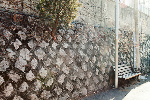 포토 JPG 주간 나무 식물 벽 배경화면 백그라운드 겨울 벤치 서울 풍경 사람없음 야외 담장 골목길 담쟁이덩굴 전봇대 국내포토 자연요소 계절 공공시설 길 의자 한국 덩굴 파일형식