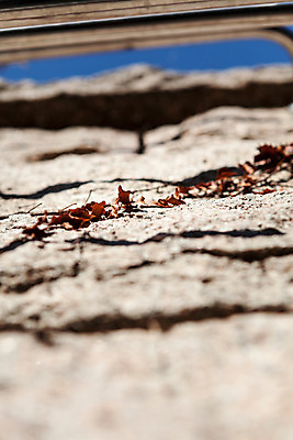 포토 JPG 주간 길 백그라운드 낙엽 겨울 서울 풍경 사람없음 야외 아웃포커스 돌_바위 국내포토 자연요소 계절 잎 한국 촬영기법 파일형식