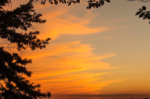 포토 JPG 주간 나무 식물 구름 실루엣 자연현상 자연 하늘 풍경 사람없음 야외 노을 일몰 국내포토 자연요소 촬영기법 생태계 파일형식