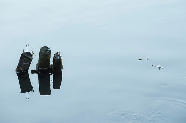 포토 JPG 주간 나무 호수 자연 물그림자 그림자 풍경 사람없음 야외 물 기둥 국내포토 자연요소 식물 건축 생태계 파일형식