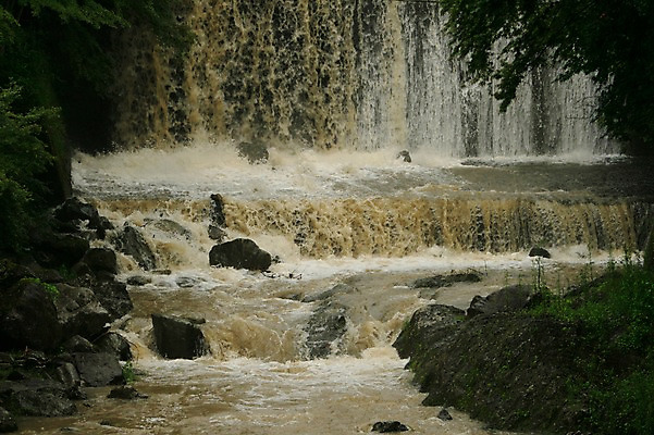포토 JPG 주간 나무 식물 자연 풍경 사람없음 야외 물 계곡 폭포 돌_바위 바위 떨어짐 흙탕물 국내포토 자연요소 컨셉 생태계 파일형식