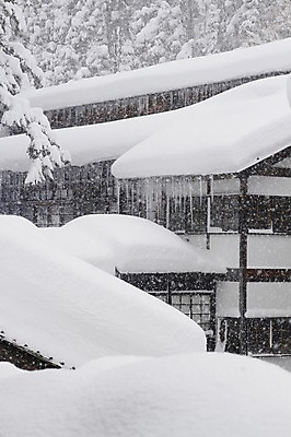 포토 JPG 주간 나무 식물 건축물 겨울 자연 주택 풍경 사람없음 야외 눈 눈내림 국내포토 자연요소 계절 건축 날씨 눈_날씨 건물 생태계 파일형식