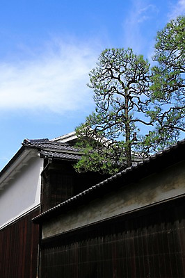 포토 JPG 주간 나무 식물 구름 전통 해외풍경 건축물 고건축 일본문화 하늘 주택 풍경 사람없음 야외 일본 일본전통 국내포토 자연요소 동양문화 해외 건축 아시아 외국문화 건물 파일형식