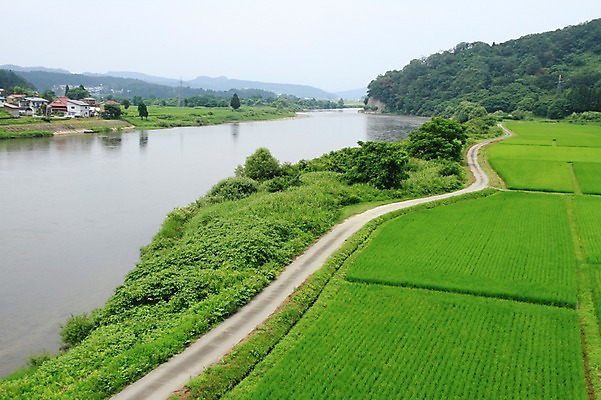 포토 JPG 주간 나무 식물 길 자연 산 주택 논 풍경 사람없음 야외 강 농경지 마을 국내포토 자연요소 농업 건물 농장 생태계 파일형식