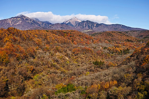포토 JPG 주간 나무 식물 구름 계절 단풍 자연 하늘 산 풍경 사람없음 야외 가을풍경 가을 산등성이 국내포토 자연요소 잎 생태계 파일형식 가을_계절