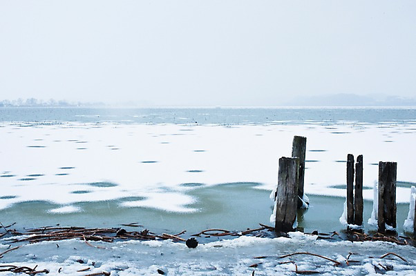 포토 JPG 주간 나무 계절 호수 겨울 자연 풍경 사람없음 야외 울타리 얼음 눈 국내포토 자연요소 식물 날씨 담장 생태계 파일형식