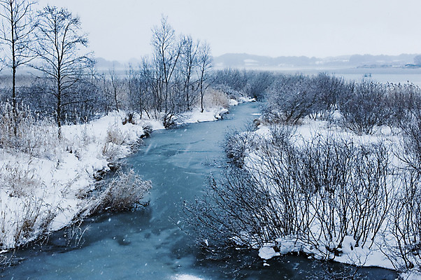 포토 JPG 주간 나무 식물 계절 호수 겨울 자연 풍경 사람없음 야외 눈 국내포토 자연요소 날씨 생태계 파일형식
