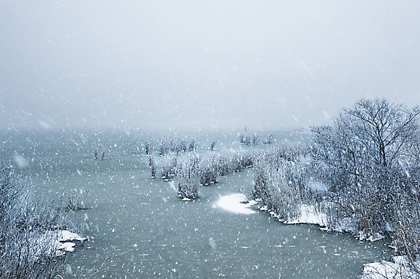 포토 JPG 주간 나무 식물 계절 호수 겨울 자연 풍경 사람없음 야외 눈 연못 국내포토 자연요소 날씨 생태계 파일형식