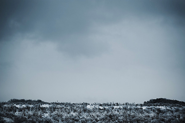 포토 JPG 주간 구름 계절 겨울 자연 하늘 풍경 사람없음 야외 눈 국내포토 자연요소 날씨 생태계 파일형식