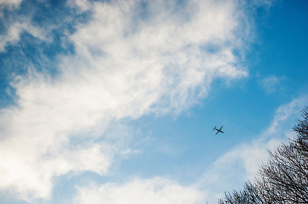 포토 JPG 주간 나무 식물 구름 자연 하늘 비행기 풍경 사람없음 야외 맑음 비행 국내포토 자연요소 항공교통 날씨 대중교통 생태계 파일형식