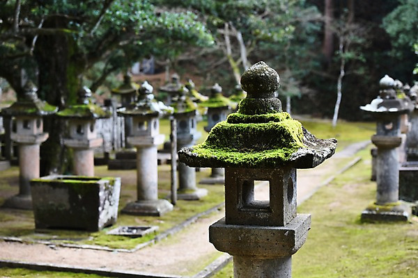 포토 JPG 주간 나무 식물 전통 아시아 전통문화 일본문화 조명 석조 이끼 풍경 사람없음 야외 아웃포커스 조형물 정원 일본 일본전통 석등 국내포토 자연요소 동양문화 나라 문화 외국문화 촬영기법 미술 파일형식
