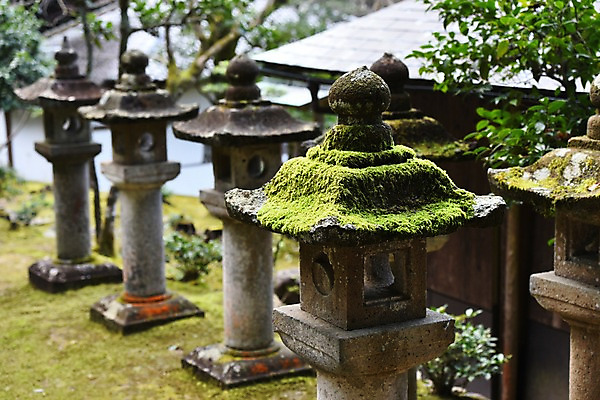 포토 JPG 주간 전통 아시아 전통문화 일본문화 조명 석조 이끼 풍경 사람없음 야외 아웃포커스 조형물 정원 일본 일본전통 석등 국내포토 자연요소 동양문화 나라 문화 외국문화 촬영기법 미술 파일형식