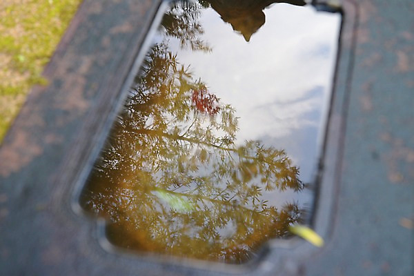 포토 JPG 주간 나무 식물 구름 자연 하늘 물그림자 사람없음 야외 아웃포커스 물 반사 국내포토 자연요소 촬영기법 그림자 생태계 파일형식