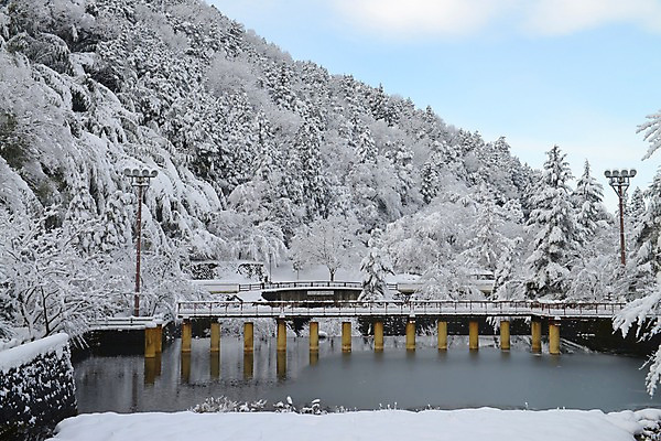 포토 JPG 주간 나무 식물 구름 계절 설경 겨울 가로등 자연 하늘 산 풍경 사람없음 야외 눈 연못 가교 국내포토 자연요소 건축물 공공시설 날씨 생태계 파일형식