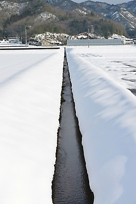 포토 JPG 주간 계절 겨울 자연 산 주택 풍경 사람없음 야외 물 농경지 원근감 농촌 눈 수로 국내포토 자연요소 뷰포인트 날씨 건물 농장 시골 생태계 파일형식