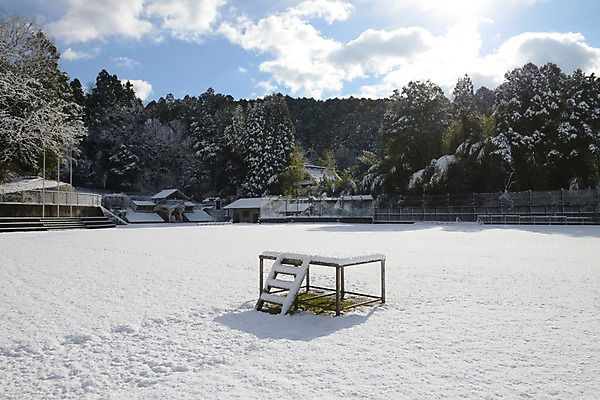 포토 JPG 주간 나무 식물 구름 계절 겨울 학교 하늘 풍경 사람없음 야외 운동장 눈 단상 국내포토 자연요소 교육 스포츠시설 날씨 공간 파일형식