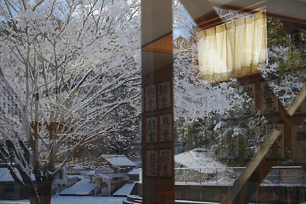 포토 JPG 주간 나무 식물 해외풍경 계절 겨울 창문 학교 풍경 사람없음 야외 반사 일본 눈 국내포토 자연요소 해외 교육 아시아 날씨 파일형식