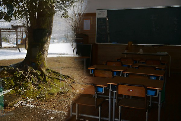 포토 JPG 주간 나무 식물 의자 교실 학교 실내 사람없음 야외 칠판 책상 교육시설 국내포토 자연요소 교육 가구 내부 시설 파일형식