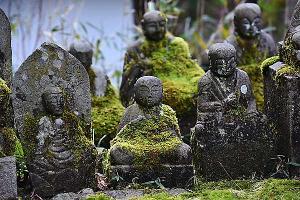 포토 JPG 주간 전통 해외풍경 조각 일본문화 석조 이끼 풍경 사람없음 야외 아웃포커스 조형물 일본 사찰 사원 불상 부처 일본전통 돌조각 조각_조소 국내포토 자연요소 동양문화 해외 아시아 외국문화 불교 비즈니스 종교건축 촬영기법 미술 돌_바위 조소 파일형식