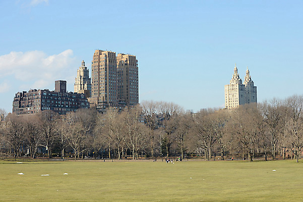 포토 JPG 주간 나무 식물 구름 해외풍경 건축물 공원 하늘 아메리카 풍경 빌딩 야외 도시풍경 고층빌딩 미국 도시 뉴욕 국내포토 자연요소 해외 공공시설 건축 북아메리카 건물 대륙 파일형식