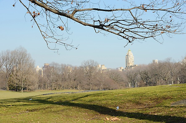포토 JPG 주간 나무 식물 공원 아메리카 그림자 풍경 빌딩 사람없음 야외 도시풍경 미국 나뭇가지 도시 뉴욕 국내포토 자연요소 공공시설 북아메리카 건물 대륙 파일형식